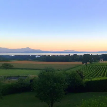Le Chateau Lavigny