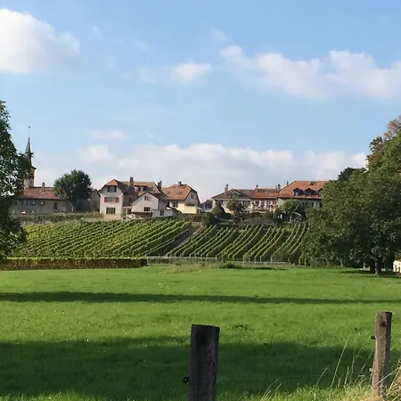 Le Château Lavigny